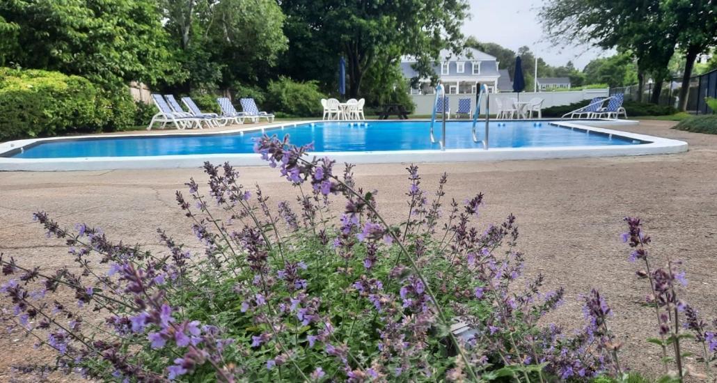 Harwichport Resort Club Harwich Port Bagian luar foto